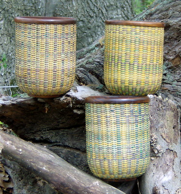 Parrot Baskets Outside View